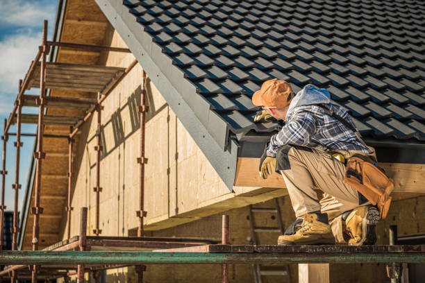 Best Solar Panel Roofing Installation  in Hermann, MO