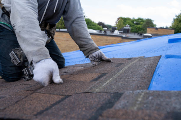 Best Roof Coating Services  in Hermann, MO