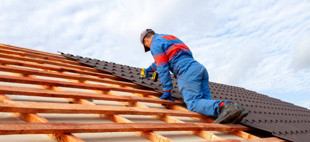 Best Metal Roofing Installation  in Hermann, MO